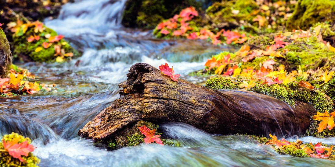 utah river fall autumn