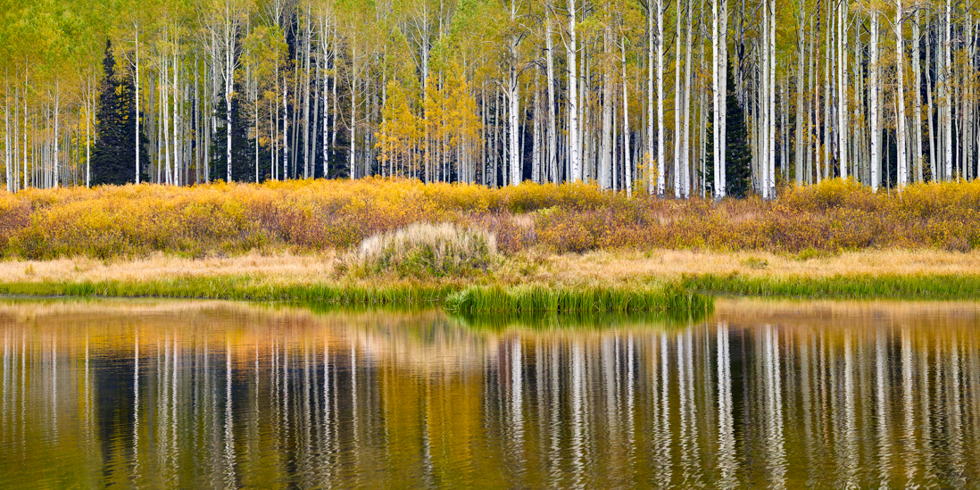 lake utah aspens reflections autumn