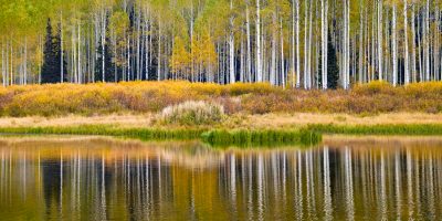lake utah aspens reflections autumn